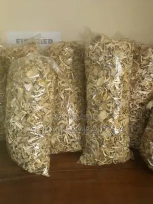 Oyster Mushroom