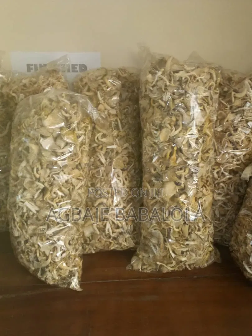 Oyster Mushroom