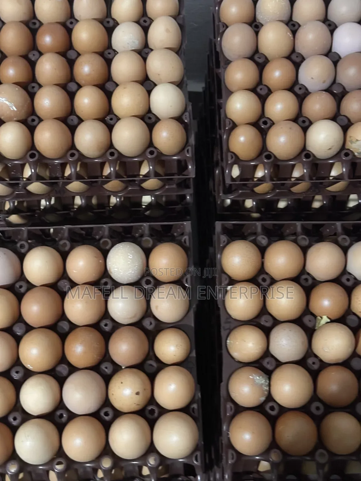 Crates of Eggs for Sell