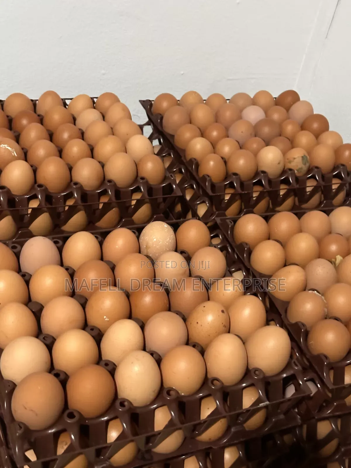 Crates of Eggs for Sell