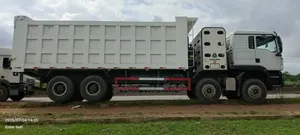 Howo CNG Dumptruck