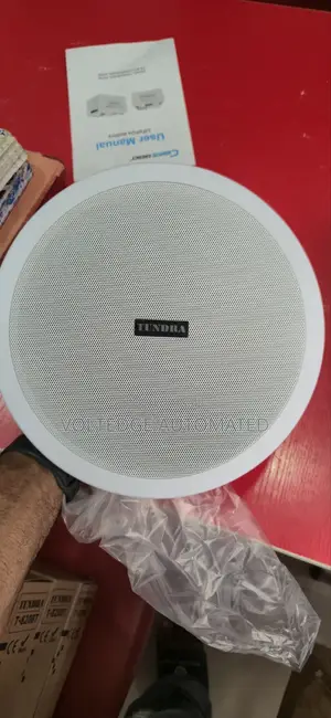 20watts Bluetooth Celling Speaker