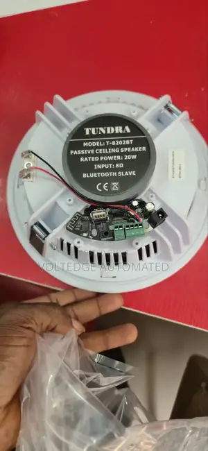 20watts Bluetooth Celling Speaker