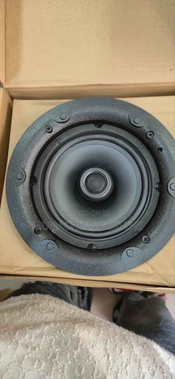 40watts Bluetooth Celling Speaker