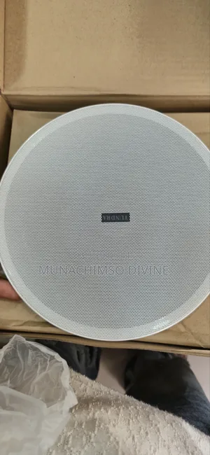 40watts Bluetooth Celling Speaker