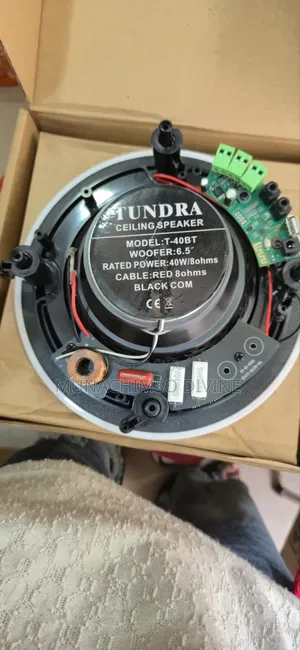 40watts Bluetooth Celling Speaker