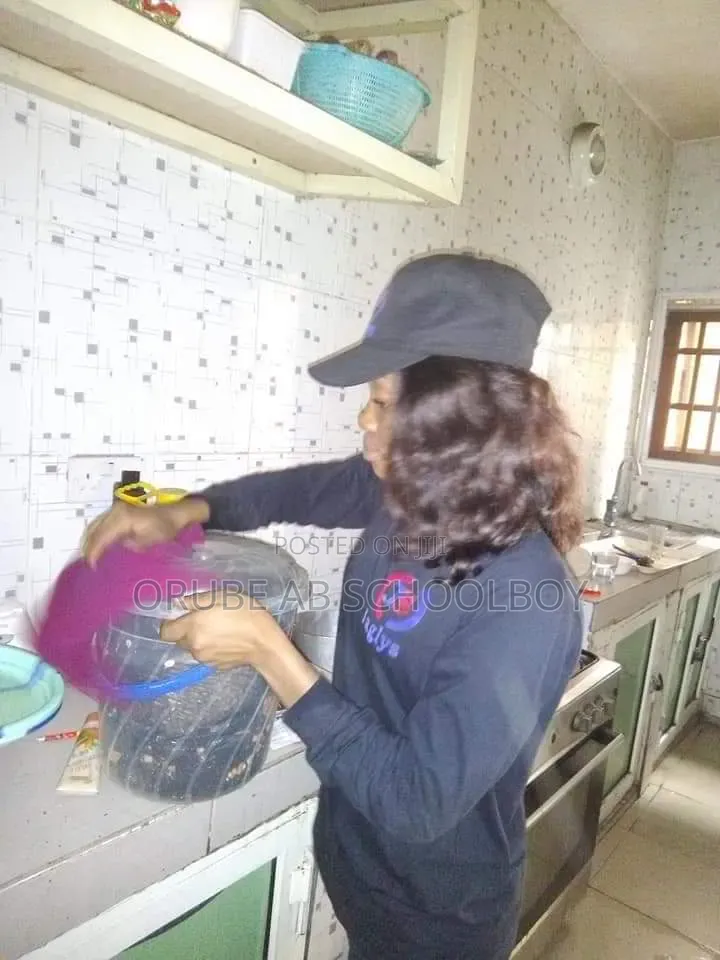 Industrial Cleaning, Fumigation and Laundry