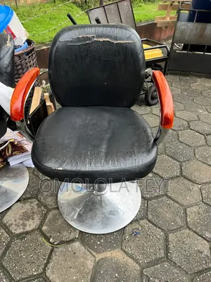 Salon Chair
