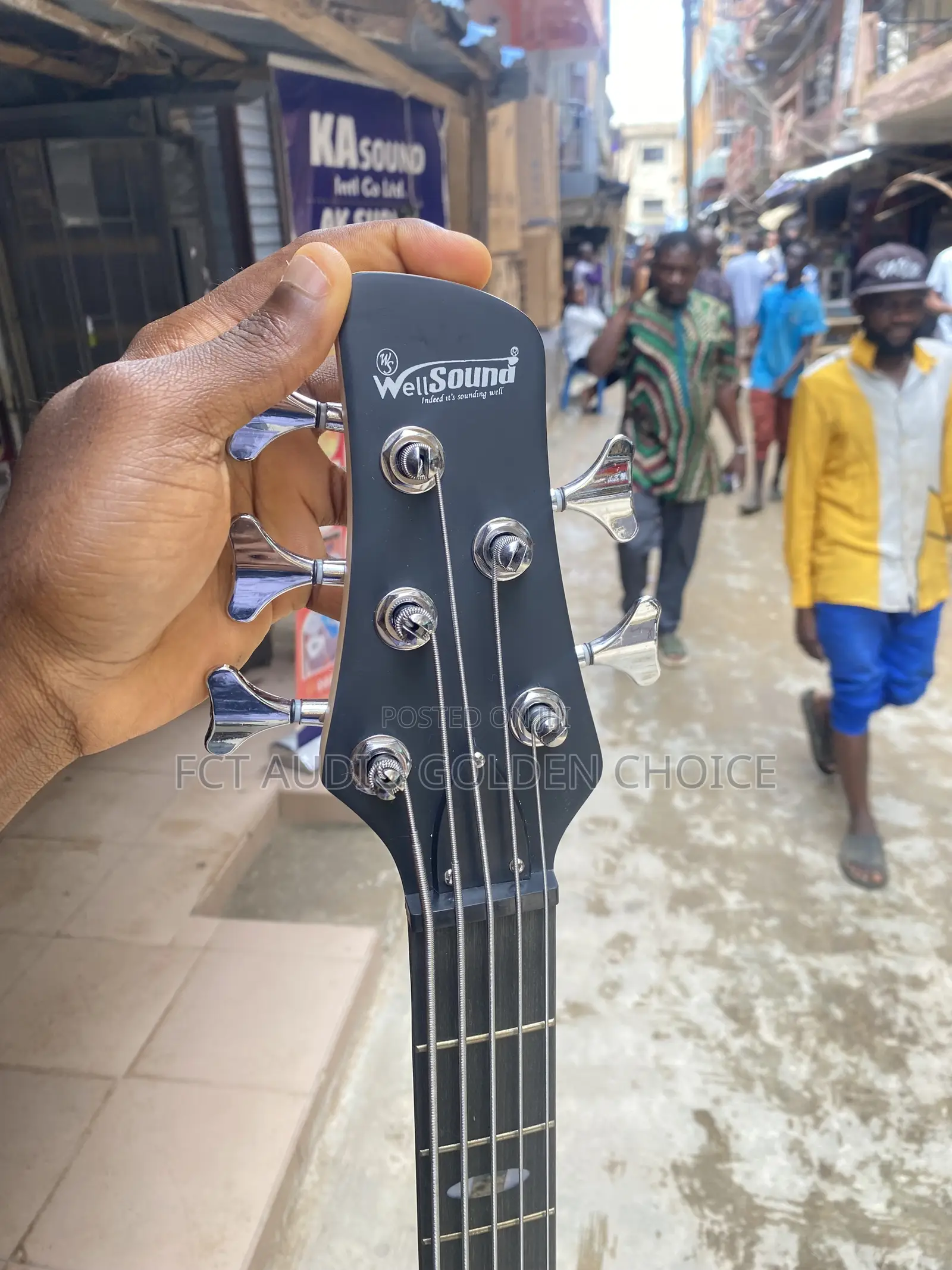 Well Sound 5string Passive Guitar