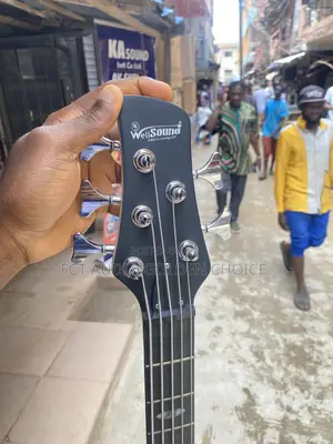 Well Sound 5string Passive Guitar