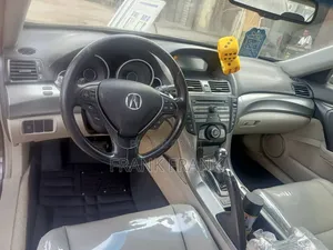 Acura TL 2009 Gray