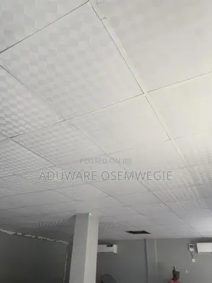 White Ceiling Tiles