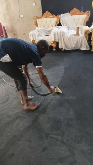 Carpet Rug Cleaning Service