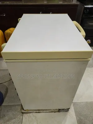 Skyrun Deep Freezer