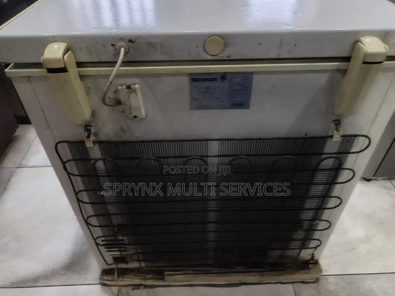 Skyrun Deep Freezer