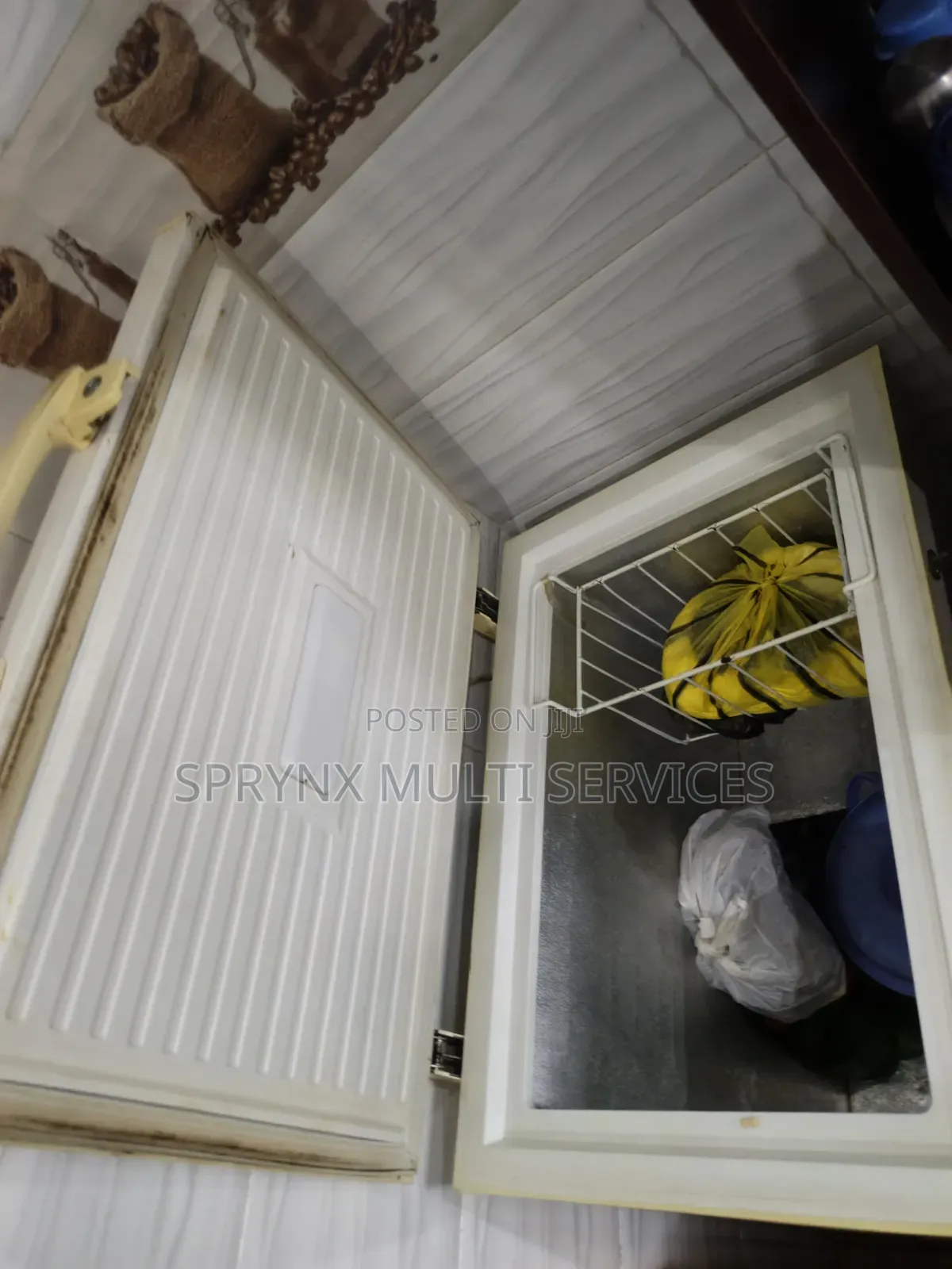 Skyrun Deep Freezer