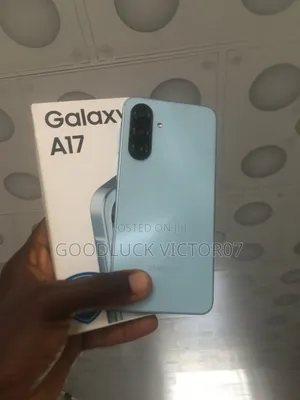 Samsung Galaxy A17 128 GB Gray