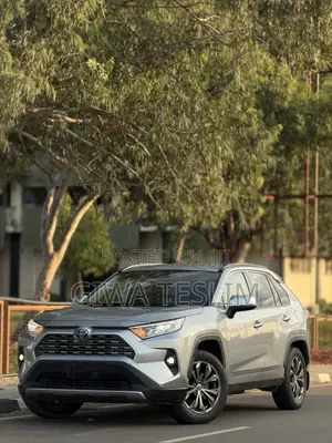 Toyota RAV4 2020 Gray