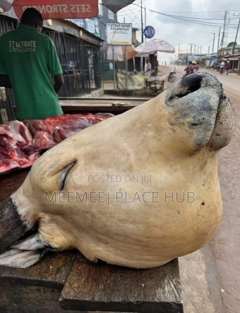 Fresh Cow Meat