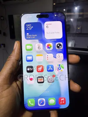 Apple iPhone 15 Pro Max 256 GB Black