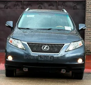 Lexus RX 2010 Gray