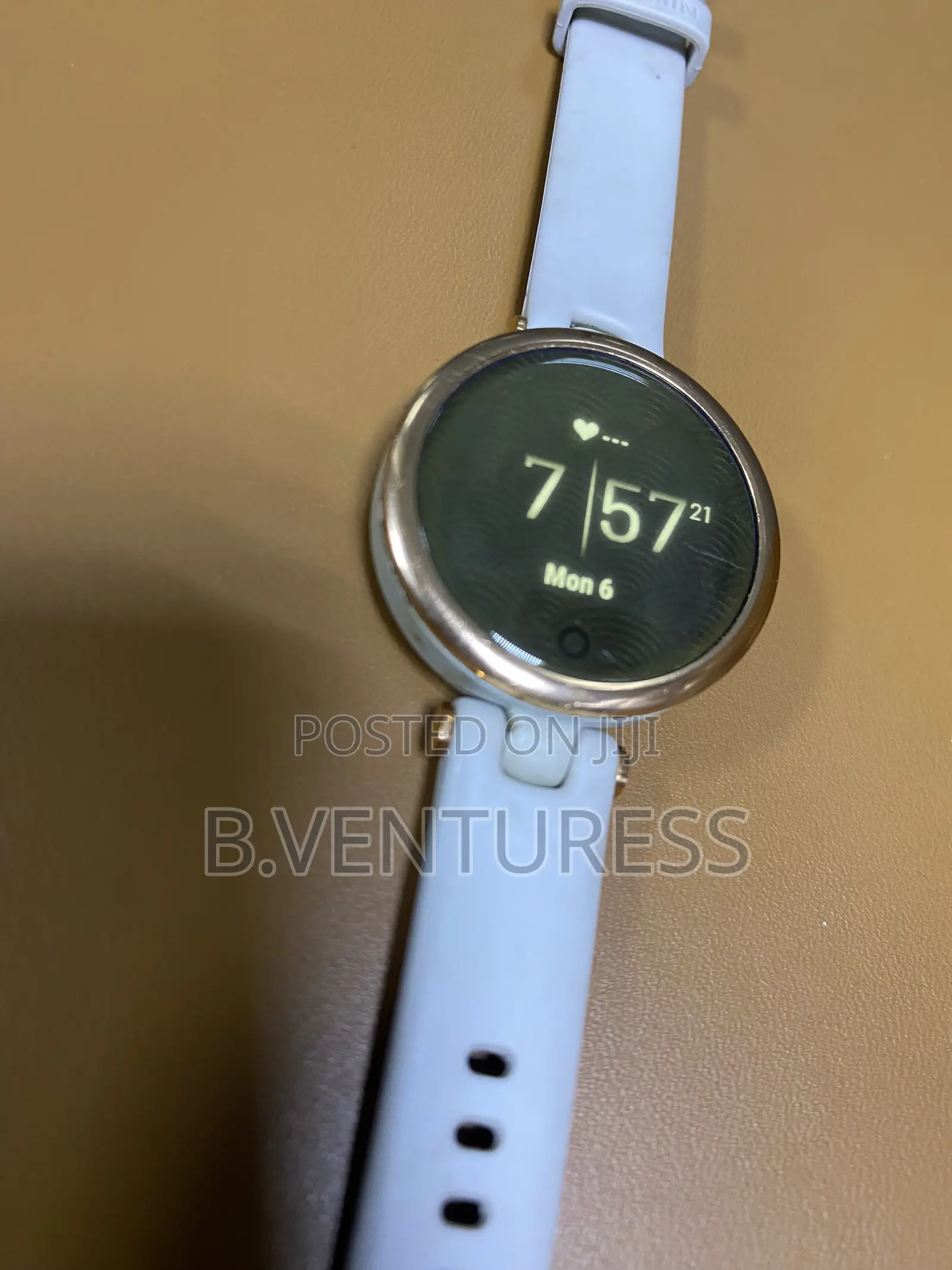 Garmin Lily Smart Watch