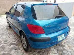 Peugeot 307 2005 Blue