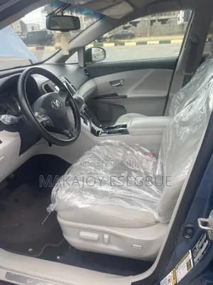Toyota Venza 2010 Blue