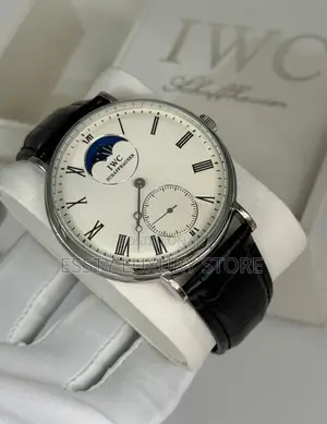 Iwc Schaffhausen Quality Luxury Men Genuine Leather Wristwatch