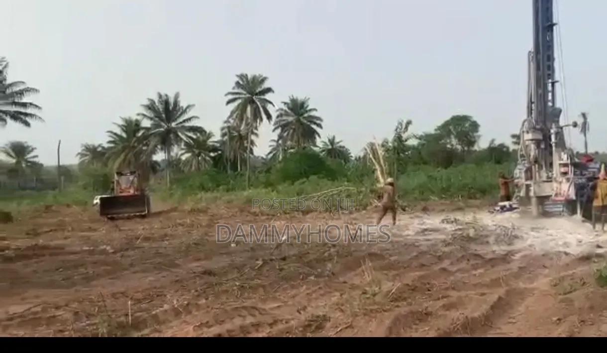 Palm Tree Farm