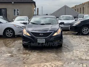 Hyundai Sonata 2011 Blue