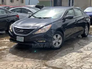 Hyundai Sonata 2011 Blue