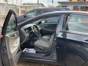 Hyundai Sonata 2011 Blue