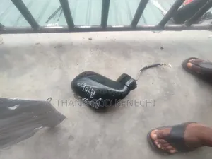 Seat of Side Side Mirror Is250