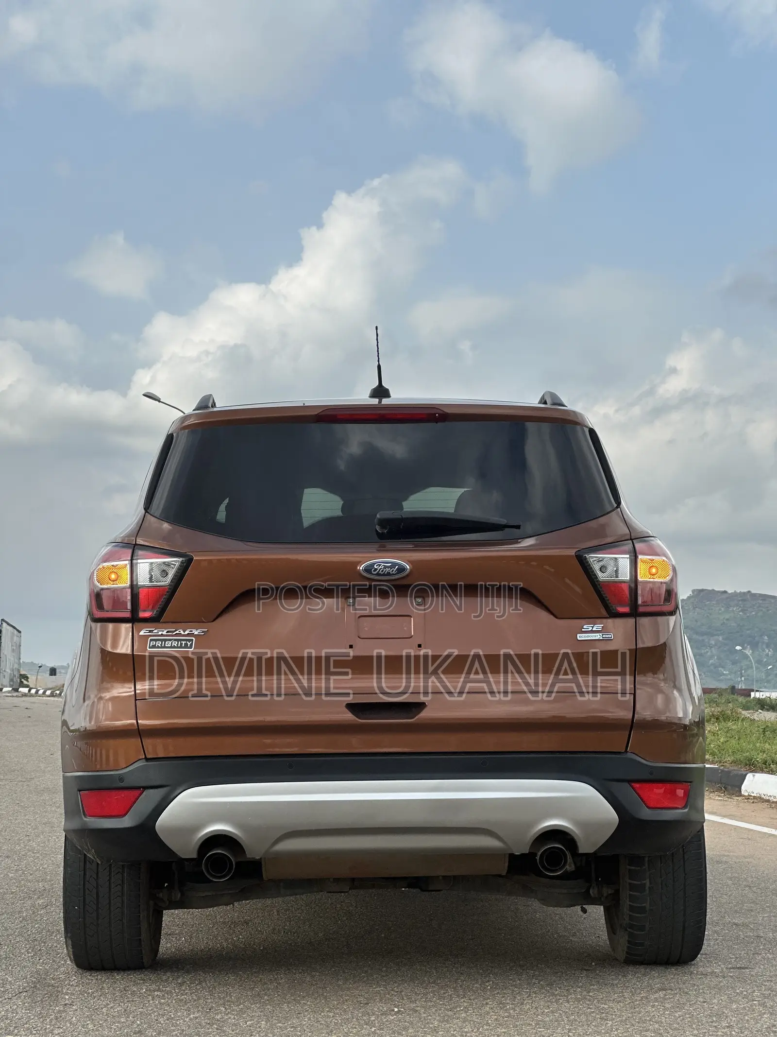 Ford Escape 2017 Brown