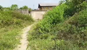 555 Square Metres Land With Structures on It