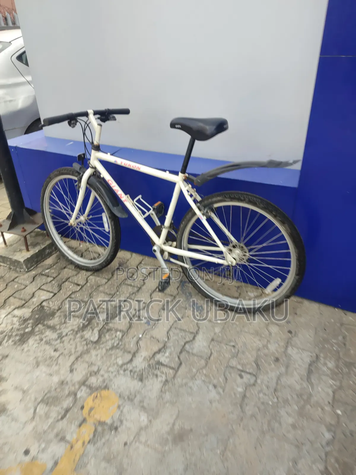 Giant Bicycle (White)