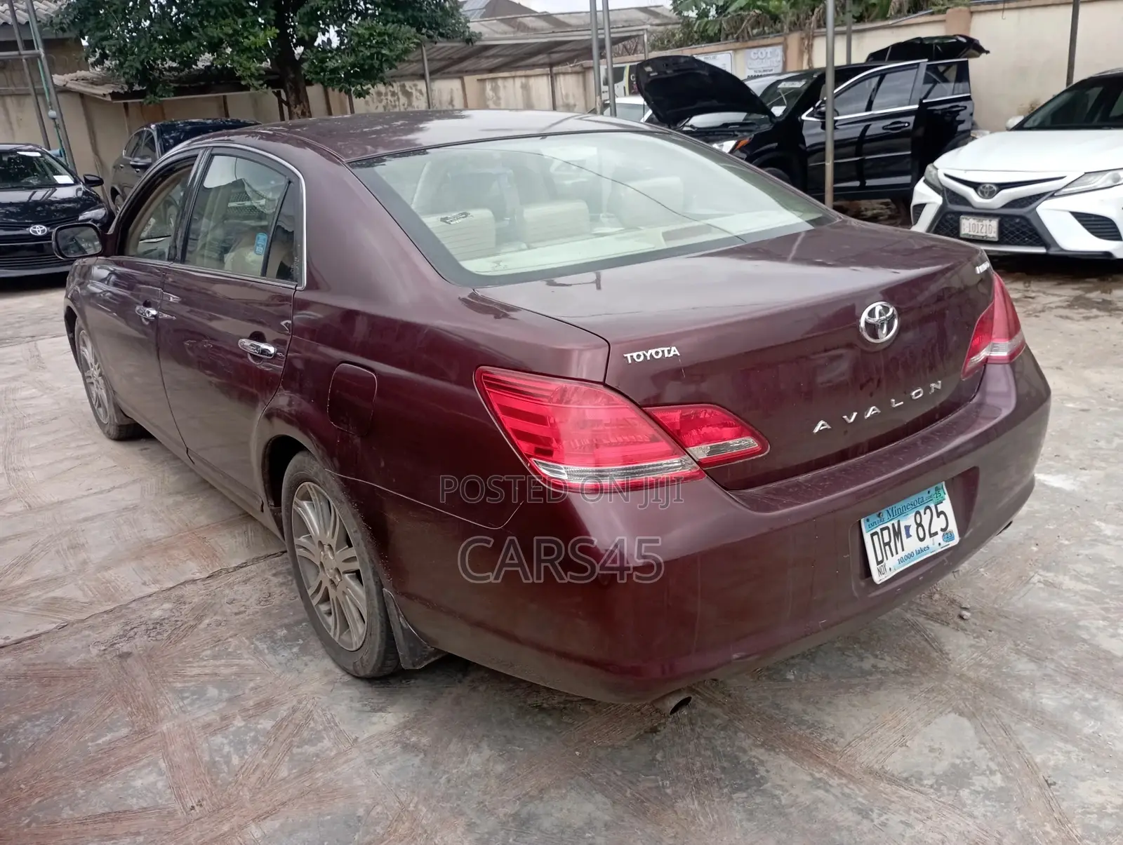 Toyota Avalon 2006 Burgandy