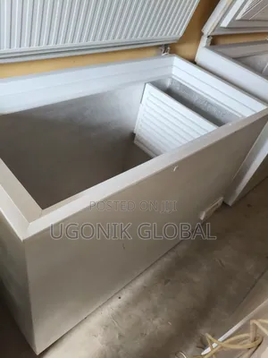 German Privilege Deep Freezer for Frozen Foods