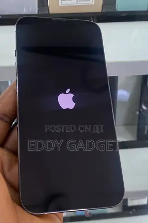 Apple iPhone 13 Pro 256 GB Gray