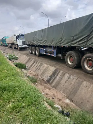 Supplier in All Kind of Cement Both Dangote an Bua Cement