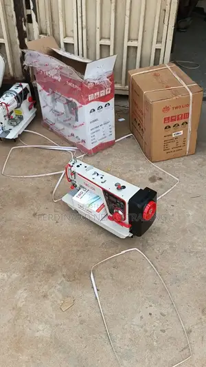 Two Lion Direct Drive Industrial Sewing Machine