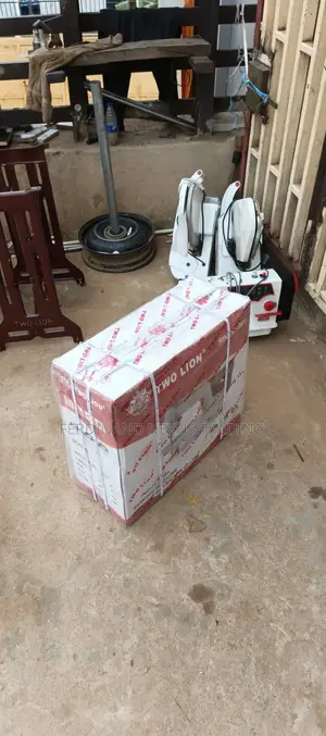 Two Lion Direct Drive Industrial Sewing Machine