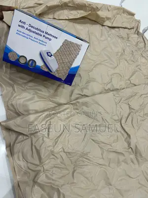 Anti-Decubitus Air Mattress With 15w Adjustable Pump