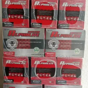 Exhaubitant Vehicles 12v 100ahs Batteries for Trucks and Suv.