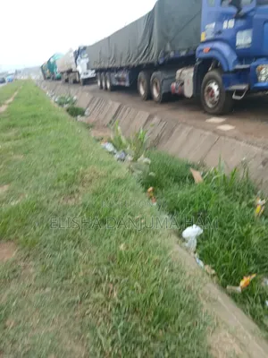Supplier in All Kind of Cement Both Dangote an Bua Cement