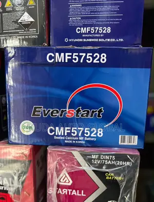 Quality Original Everstart 12v 75ahs for Suv