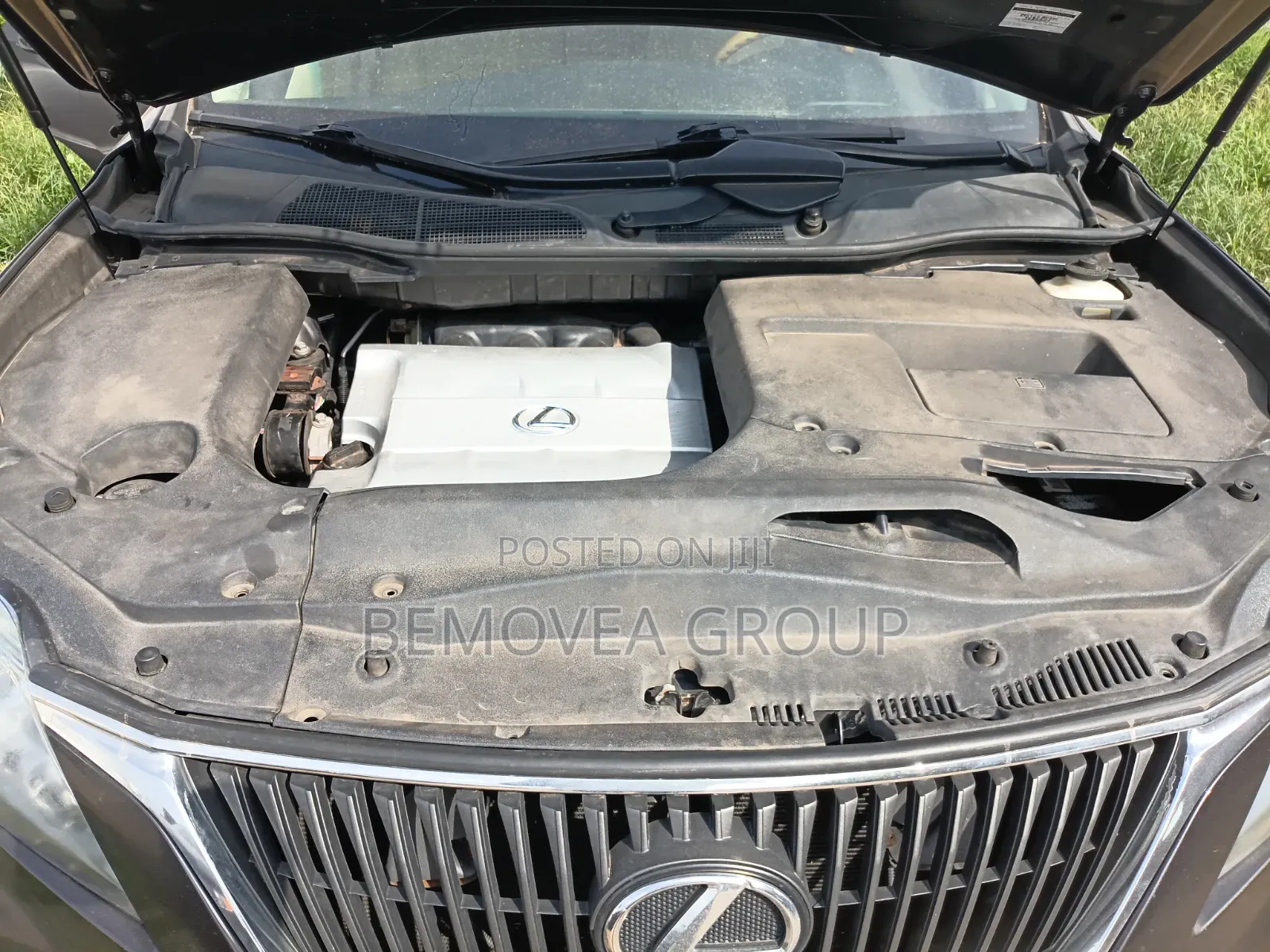 Lexus RX 2010