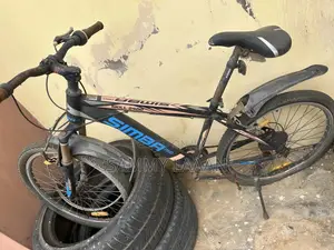 Abandoned Bicycle For Sale