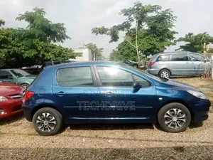 Peugeot 307 2006 Blue